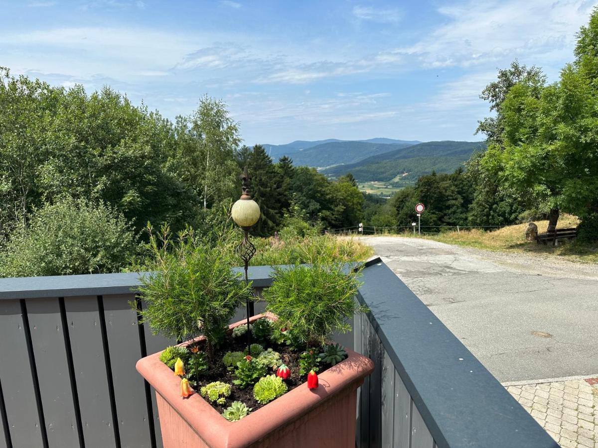 Modernes Top Apartment Mitten Im Bayerischen Wald + Wlan Kostenfrei Schofweg Экстерьер фото